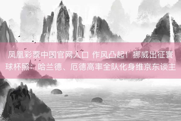 凤凰彩票中国官网入口 作风凸起！挪威出征寰球杯照：哈兰德、厄德高率全队化身维京东谈主