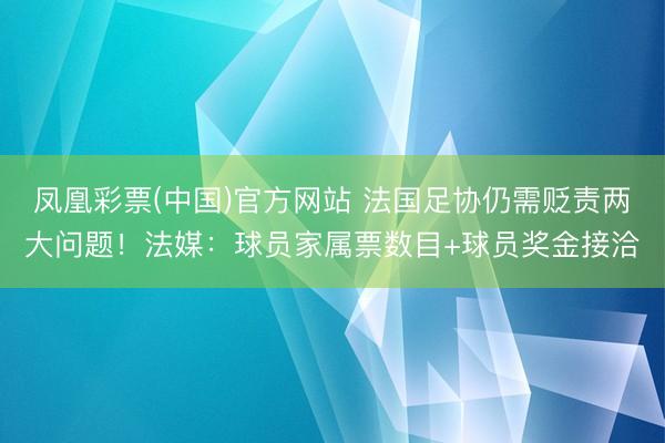 凤凰彩票(中国)官方网站 法国足协仍需贬责两大问题！法媒：球员家属票数目+球员奖金接洽