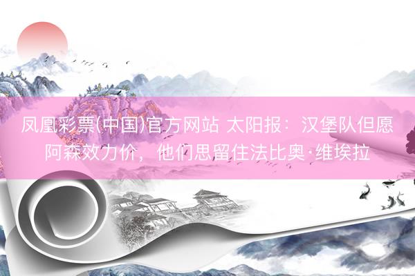 凤凰彩票(中国)官方网站 太阳报：汉堡队但愿阿森效力价，他们思留住法比奥·维埃拉