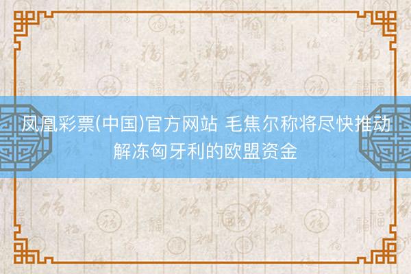凤凰彩票(中国)官方网站 毛焦尔称将尽快推动解冻匈牙利的欧盟资金